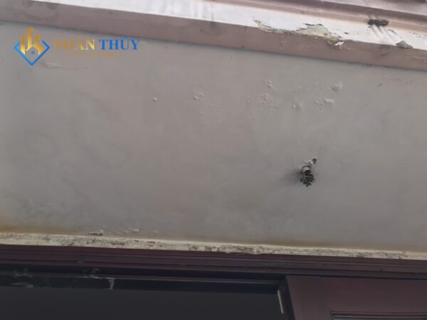 sơn nhà quận bình thạnh