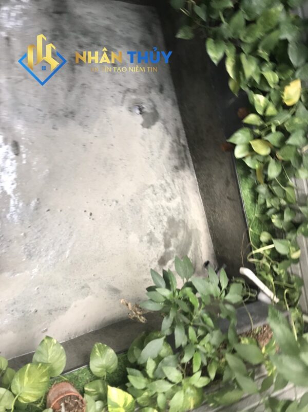 chống thấm bể cá koi