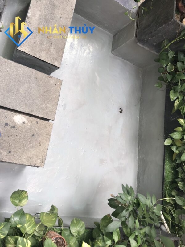 chống thấm hồ cá