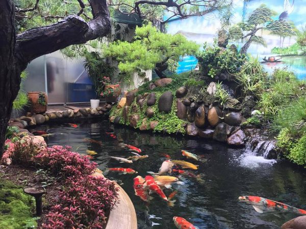 chống thấm bể cá cảnh